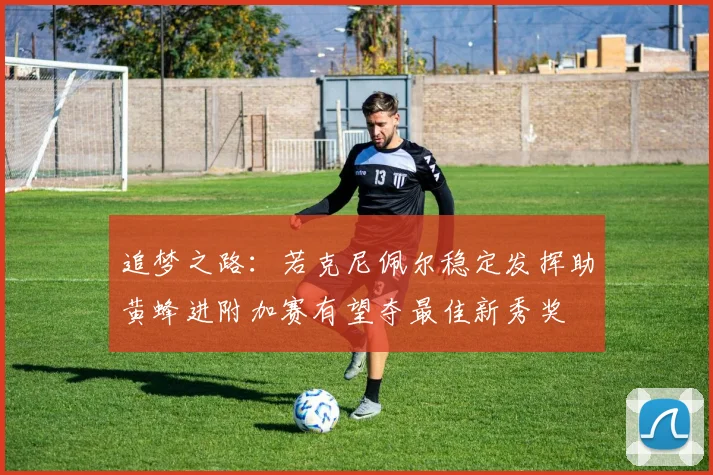 追梦之路：若克尼佩尔稳定发挥助黄蜂进附加赛有望夺最佳新秀奖